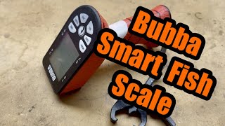Bubba Smart Fish Scale — 4 minute review