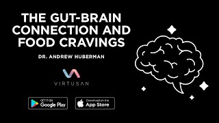"Science Of Cravings: How Your Gut Tricks Your Brain Into Overeating!" With Dr. Huberman