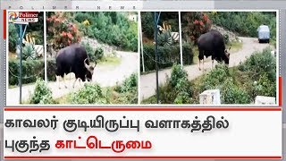 காவலர் குடியிருப்பு வளாகத்தில் புகுந்த காட்டெருமை