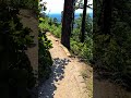 the incredible mountaintop lizard we ve never heard of