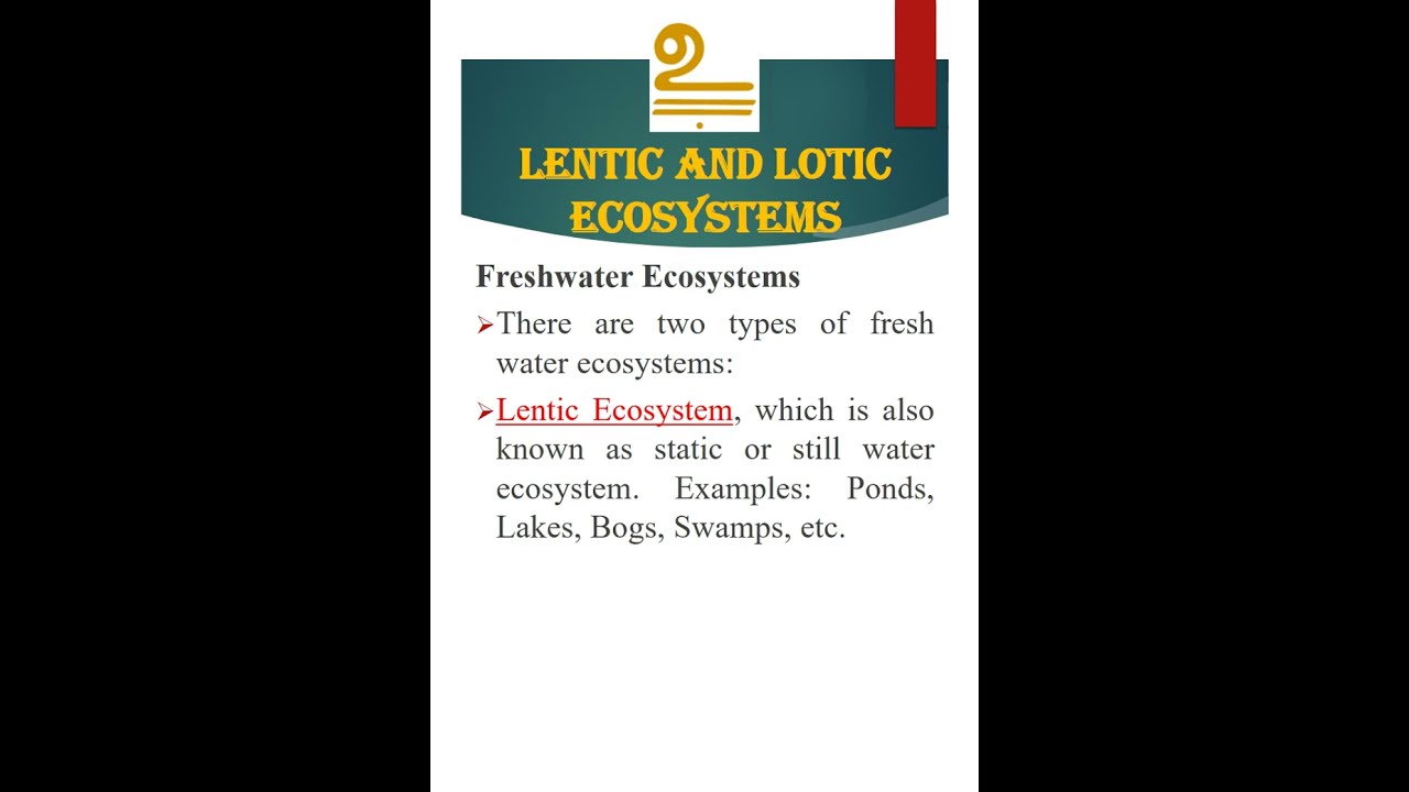 Lentic & Lotic Ecosystems | Freshwater Ecosystem | Aquatic Ecosystem ...