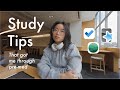 Study Tips that got me through Pre-Med, MCAT, and PhD in Immunology