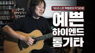 요곤어때 (악기리뷰) / Cort Gold-Passion / 디자인과 소리 모두 이쁜 고급 기타