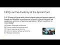 mcqs on the anatomy of the spinal cord