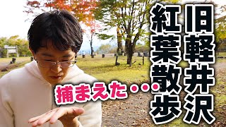 【軽井沢の紅葉スポットを探す！】今年の紅葉はどこがきれい？？探していたら、あれを捕まえました。