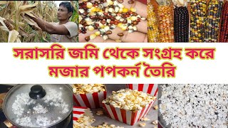 জমি থেকে সংগ্রহ করে মজার পপকর্ন তৈরি / how to make popcorn / পপকর্ন