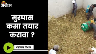 Silage Making : या पद्धतीने करा मुरघास | Agrowon | ॲग्रोवन