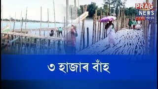 Longest bamboo bridge in Assam | Expensive bamboo bridge in Majuli