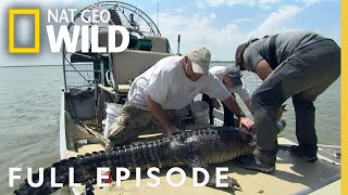 Gator Country (Full Episode) | America the Wild