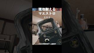 現地1人で耐えるマエストロ #r6s #シージ