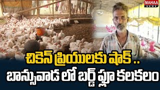 చికెన్ ప్రియులకు షాక్ ..బాన్సువాడ లో బర్డ్ ఫ్లూ కలకలం | Bird flu in Bansuada Kamareddy District