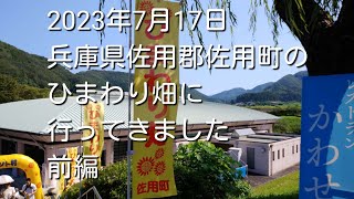 2023年7月17日　兵庫県佐用郡佐用町のひまわり畑に行ってきました　前編