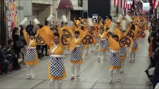 大橋通り踊り子隊　～2016龍馬生誕祭(京町会場)