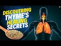 Unlocking Nature's Secret: The Incredible Health Benefits of Thyme