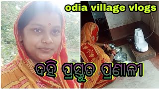 ମୁଁ କେମିତି ଘରେ ଦହି ପ୍ରସ୍ତୁତ କରେ॥odia village vlogs#sasmita village vlogs#village vlogs#