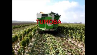 Tumoba Sprout harvester option 'butterfly'