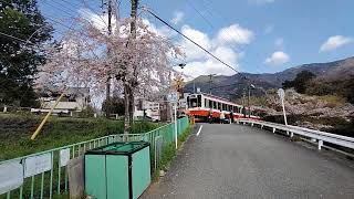 箱根登山鉄道１０００形ベルニナ号旧塗装　大平台〜上大平台信号場間走行