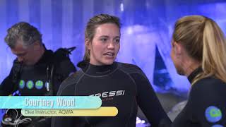 Destination WA - Dive with the Sharks at AQWA