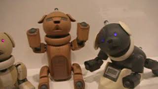 ソニー　アイボの歴史　History of Sony aibo.