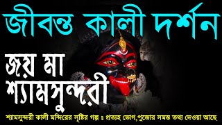 Shyam Sundari ma |কলকাতার জীবন্ত কালী মায়ের দর্শন পেলাম | Maa Kali Temple in Kolkata