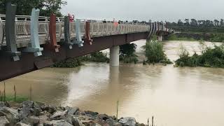 Palmerston North Manawatu River flooded 15/2/23