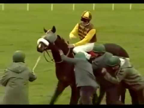 Funny Horse Racing Bloopers Youtube
