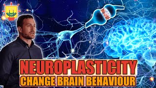 Andrew Huberman: Neuroplasticity! Change your brain behaviour