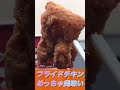 【北海道】セイコーマートのフライドチキン