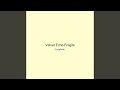 Velvet Echo Fragile