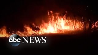 Amazon rainforest struggling after record wildfires