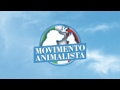 il movimento animalista in italia testimonianze