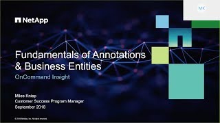 OnCommand Insight -  Business Entities and Annotations