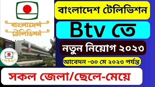 Btv তে ১৩৪ পদে নতুন নিয়োগ ২০২৩ | BTV new job circular 2023 | govt jobs| job school