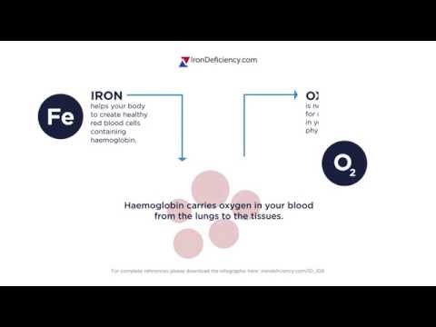 Is iron necessary for oxygen transport in red blood cells?