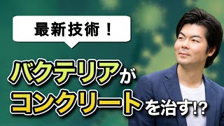 【最新技術】コンクリートのヒビが勝手に治る!?微生物の力を駆使した「自己治癒コンクリート」とは？