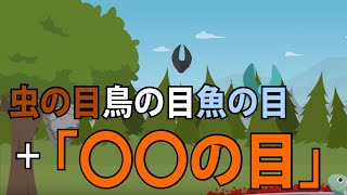 管理職はメタ思考！虫の目、鳥の目、魚の目＋「〇〇の目」