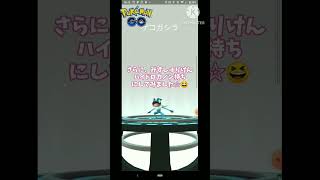 キラケロマツをみずしゅりけん、ハイドロカノン持ちのゲッコウガに‼️【ポケモンGO】#shorts