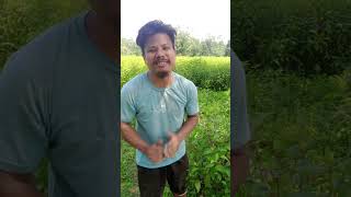 কিছুমান মানুহৰ মদ খোৱা style !!🤣😂🤣😂😂# short# viral# video#