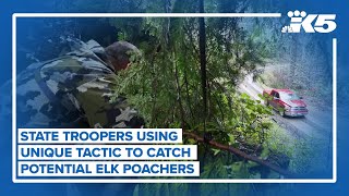 Catching elk poachers with unique sting operation