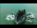 neutralizing threat special forces operation in loktak lake brigadier ss shekhawat 21 para sf