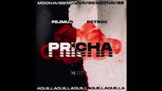 PETROV X FEJMUS - PRICHA