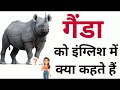 गेंडा को इंग्लिश में क्या कहते हैं genda animal genda animal ko english mein kya kahate hain