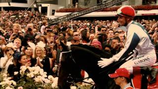 Harvey World Travel - 2015 Melbourne Cup Carnival