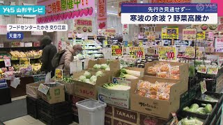 先行き見通せず 寒波の余波で野菜高騰か