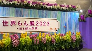 世界らん展2023  -花と緑の祭典- （開催中）