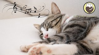 Healing Music Specially Designed for Cats (with purring cat sounds)