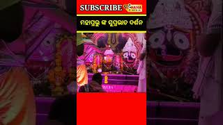 ଶ୍ରୀ ଜଗନ୍ନାଥ ଙ୍କ ସୁପ୍ରଭାତ ଦର୍ଶନ || Suchana Media ||Sri Jagannath ||🙏||#shorts ||