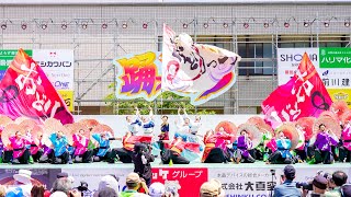 [4K] 京炎そでふれ！おどりっつ  2024年度演舞『京ノ空繰』初披露   踊っこまつり 2024