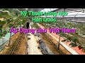 Kỹ thuật trồng nho kiểu Hàn Quốc khi áp dụng vào Việt Nam