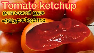 കടകളിൽ കിട്ടുന്നതിലും രുചിയിൽ tomato ketchup വീട്ടിൽ തയ്യാറാക്കാം || Tomato ketchup homemade Recipe